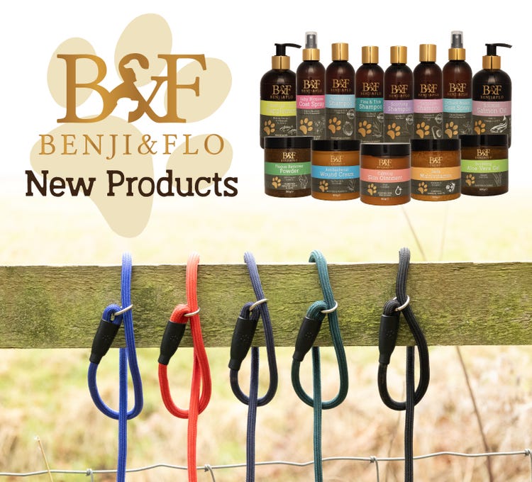 B&F - New Products